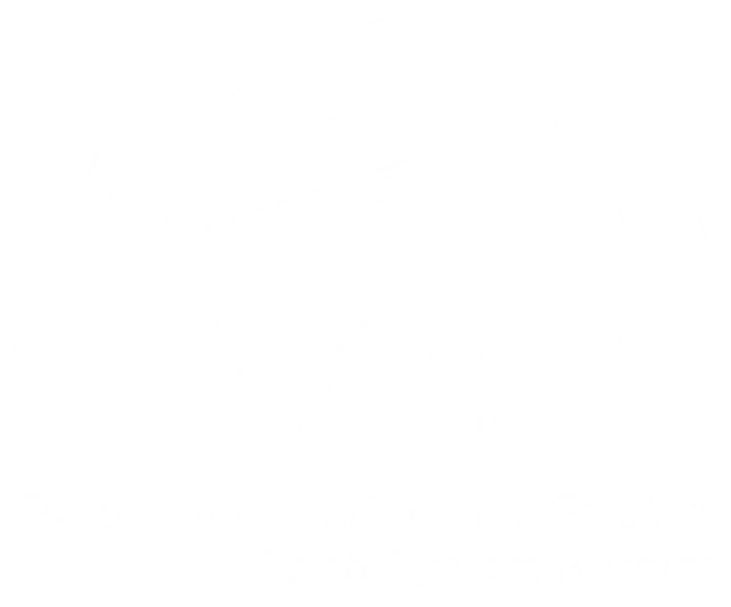 CISESS Logo